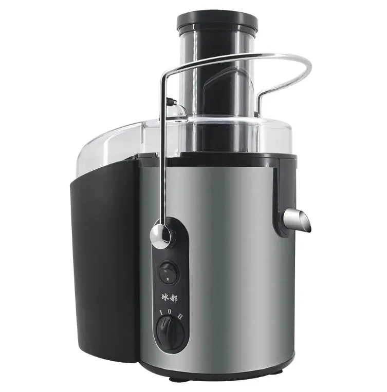 Kitchen Appliance Blender Professional Rechargeable Cold Press Juicer Slow Juice Extractor with Filter