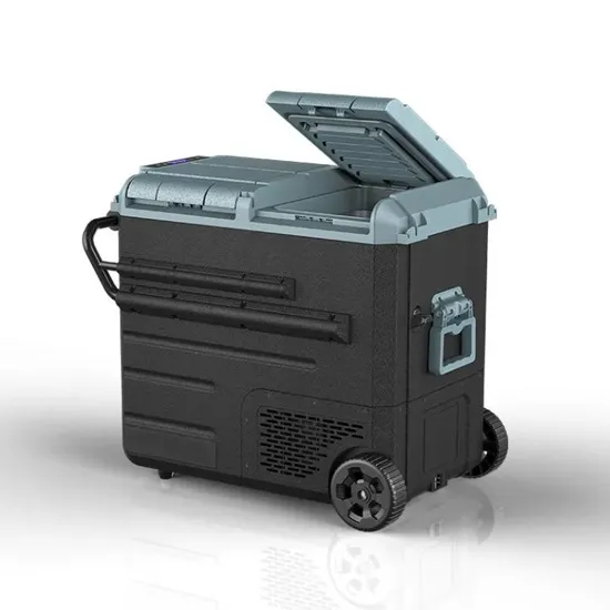 Waycool Wg65 58L Camping Car Fridge Best Portable Car Fridge 12V 24V Car Electric Cooler Compressor with OEM and ODM