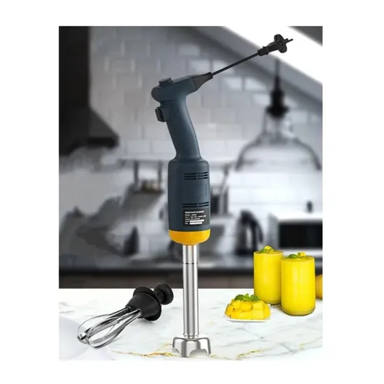 Multi-Functional Fruit and Vegetable Hand Blender for Juicing and Egg Mixing
