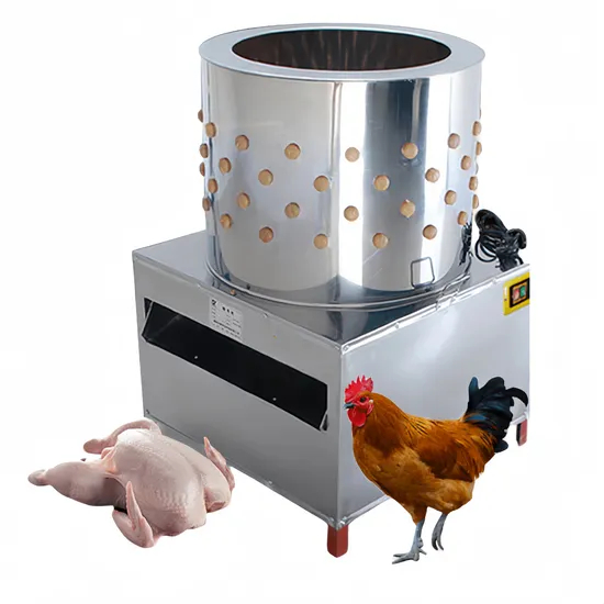 High-Efficiency CT-Pl55 Poultry Plucker Machine for Fast Processing