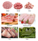 Heavy Duty Electric Meat Shredder Machine for Commercial Use