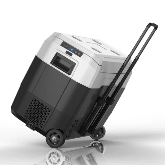 Waycool Alg50L Portable Mini Car Fridge for Camping and Outdoor Use and Truck
