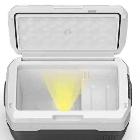 Energy-Efficient Car Fridge for Long Drives and Picnics
