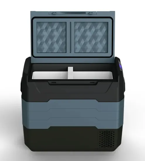 Waycool Teg55 50L Dual Control Car Cooler AC12~24V Low Power Compressor for Outdoor Camping Cars with Wheels