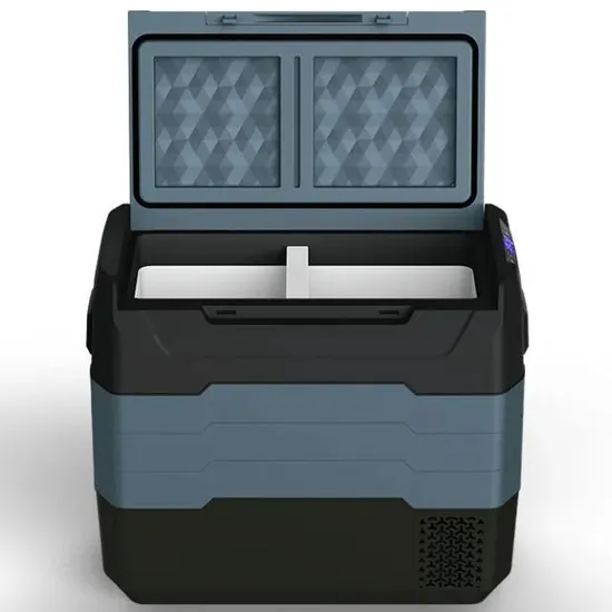 Waycool Tg55 50L Sinlgle Temperature Control Camping Car Refrigerator Mini Cooler for Barbecue/Camping/Outside