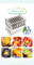 Commercial Snack Maker 40 Cavities Stainless Steel 75ml Popsicle Mold Ice Lolly Maker Ice Cream Mold for Juicer Machine