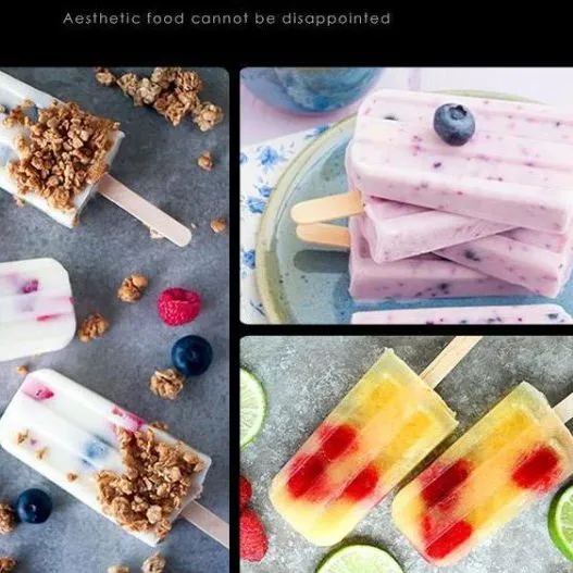Commercial Customized 304 Stainless Steel Ice Cream Popsicle Mold with 30 Mold