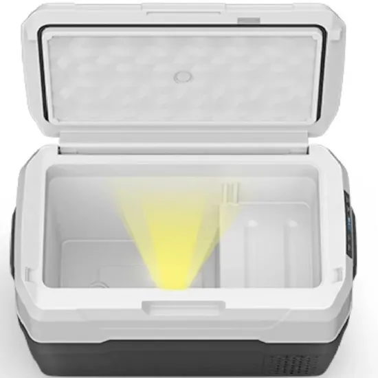 Waycool Alg50L Portable Mini Car Fridge for Camping and Outdoor Use and Truck