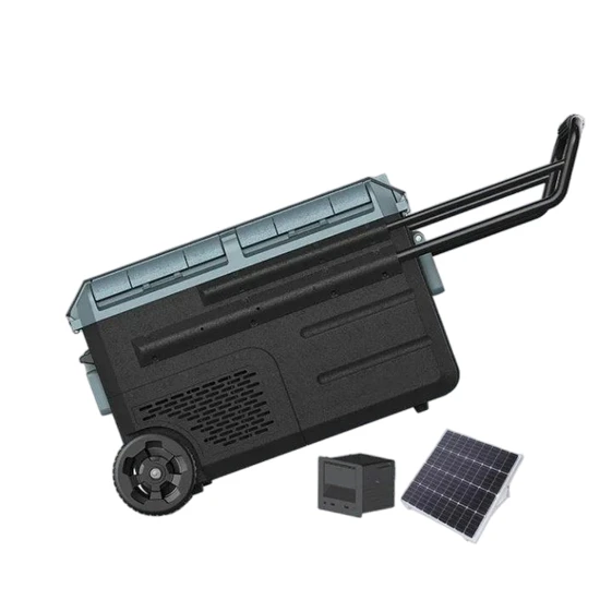 Waycool Weg65 58L Camping Car Fridge Best Portable Car Fridge 12V 24V Car Electric Cooler Compressor with OEM and ODM