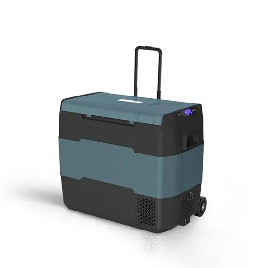 Waycool Tg55 50L Sinlgle Temperature Control Camping Car Refrigerator Mini Cooler for Barbecue/Camping/Outside