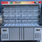 Dual Temperature Commercial Refrigerator Freezer for Fresh Food Display