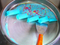Premium Flat Pan Fried Ice Cream Roll Maker for Snack Shops