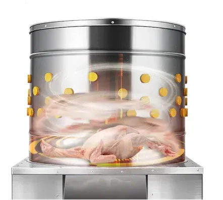 High-Efficiency CT-Pl55 Poultry Plucker Machine for Fast Processing