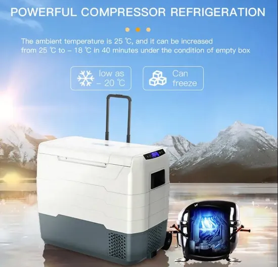 Waycool Teg55 50L Dual Control Car Cooler AC12~24V Low Power Compressor for Outdoor Camping Cars with Wheels