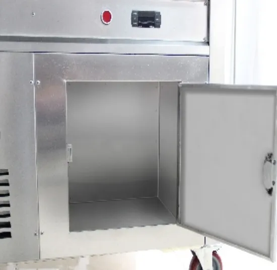 Advanced Cold Storage Fried Ice Cream Roll Machine with Refrigerated Barrels