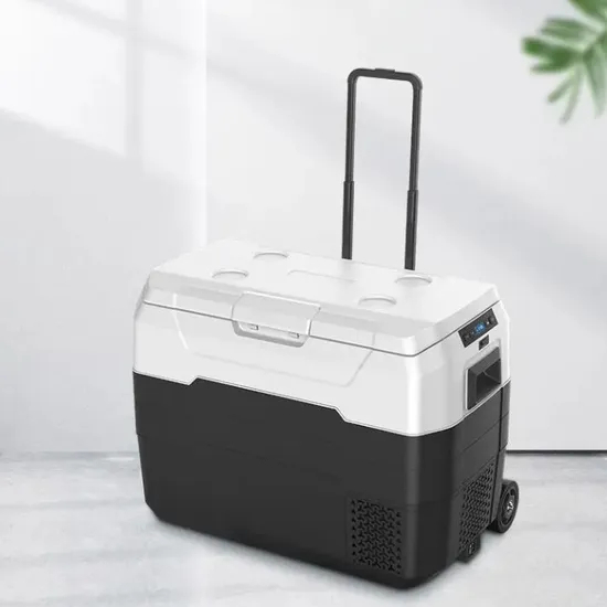 Energy-Efficient Car Fridge for Long Drives and Picnics