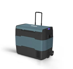 Waycool Teg55 50L Dual Control Car Cooler AC12~24V Low Power Compressor for Outdoor Camping Cars with Wheels
