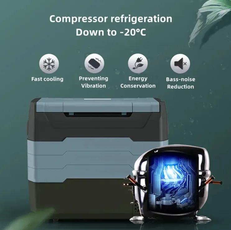 Waycool Tg55 50L Sinlgle Temperature Control Camping Car Refrigerator Mini Cooler for Barbecue/Camping/Outside