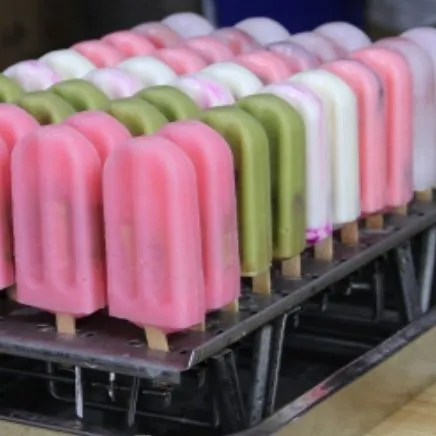 Commercial Ice Maker Stick Making Machine Popsicles Making Machine Fruit Popsicle Machine Ice Lolly Machine