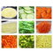 Multi-Functional Stainless Steel Vegetable and Fruit Cutter for Kitchen Use