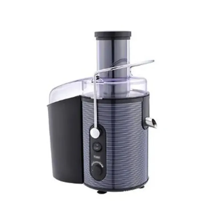 Kitchen Appliance Blender Professional Rechargeable Cold Press Juicer Slow Juice Extractor with Filter