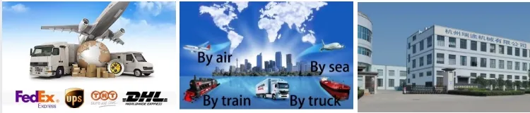 Hot Selling Te55 Series Waycool Single Control Car Fridge AC12~24V Low Power Compressor for Outdoor Camping Cars Made of Plastic