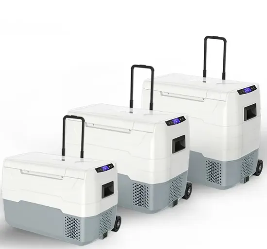 Waycool Teg55 50L Dual Control Car Cooler AC12~24V Low Power Compressor for Outdoor Camping Cars with Wheels