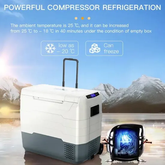 Waycool Tg55 50L Sinlgle Temperature Control Camping Car Refrigerator Mini Cooler for Barbecue/Camping/Outside