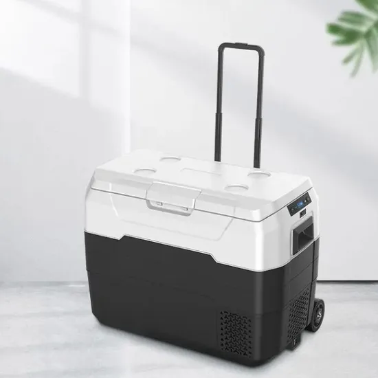 Efficient Mini Fridge for Truckers and Travel Enthusiasts