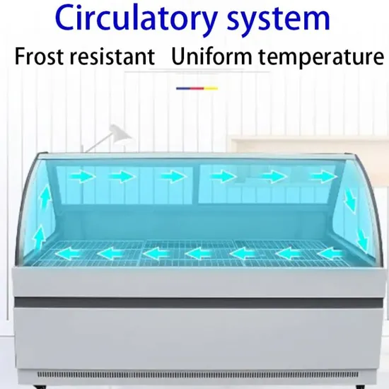 Versatile Supermarket Display Freezer for Cooked Meat Products