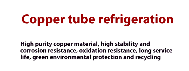 Double-Temperature Energy-Saving Cabinet for Supermarket Vegetables Display Fridge