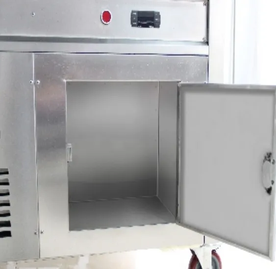 Advanced Cold Storage Fried Ice Cream Roll Machine with Refrigerated Barrels