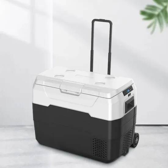 Waycool Alg50L Portable Mini Car Fridge for Camping and Outdoor Use and Truck