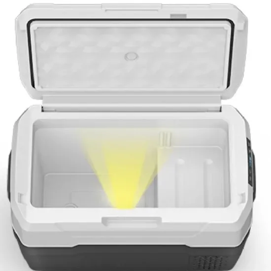 Efficient Mini Fridge for Truckers and Travel Enthusiasts