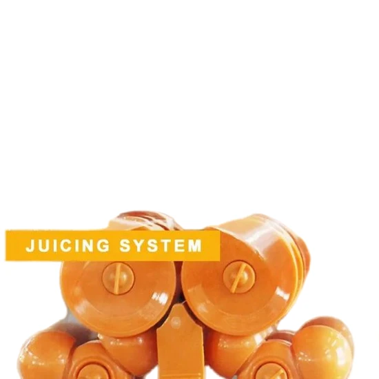 Premium Commercial Orange Juicer Maker for Quick Juice Service